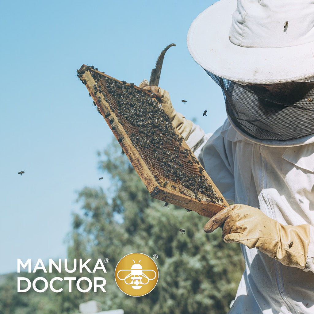 💥 Meilleurs miels de Manuka 2024 - guide d'achat