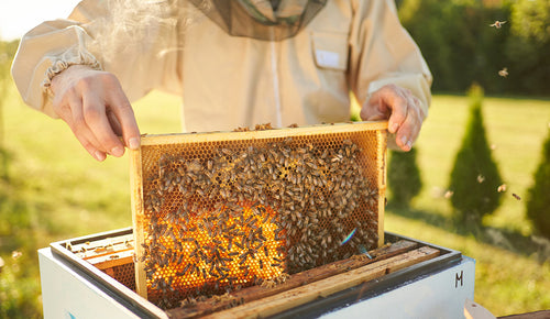 Tracez le parcours de votre pot de miel grâce à notre promesse de la ruche au domicile