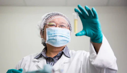 6 raisons scientifiquement prouvées d’adopter le miel de Mānuka