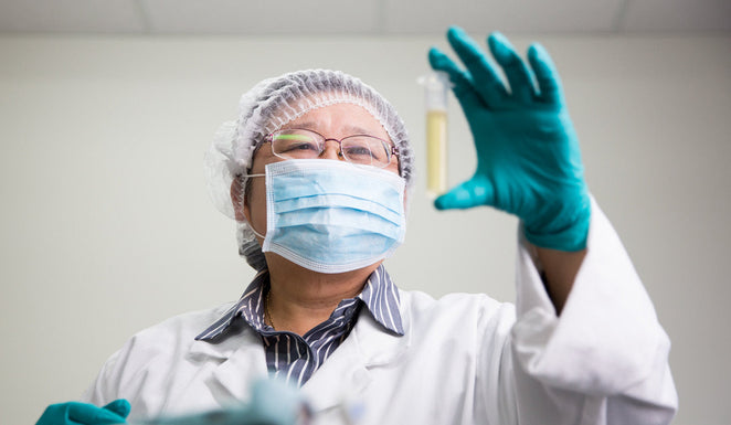 Miel de Manuka : Indices MGO et définition scientifique du gouvernement néo-zélandais