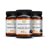 Pack Trio Miel de Manuka 40 MGO 500g