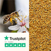 Pollen d'abeille 150g